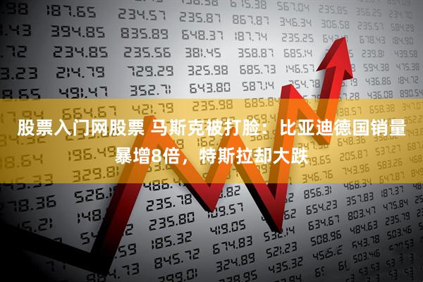 股票入门网股票 马斯克被打脸：比亚迪德国销量暴增8倍，特斯拉却大跌