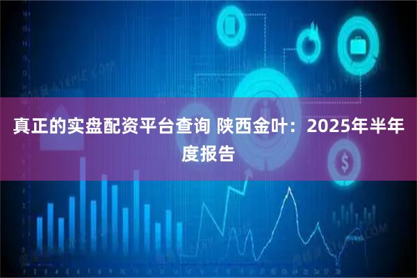 真正的实盘配资平台查询 陕西金叶：2025年半年度报告